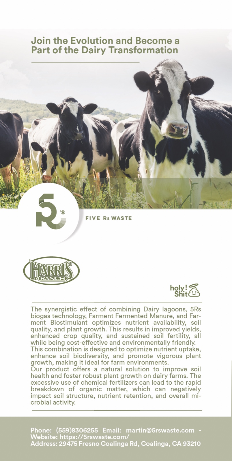 Dairy transformation