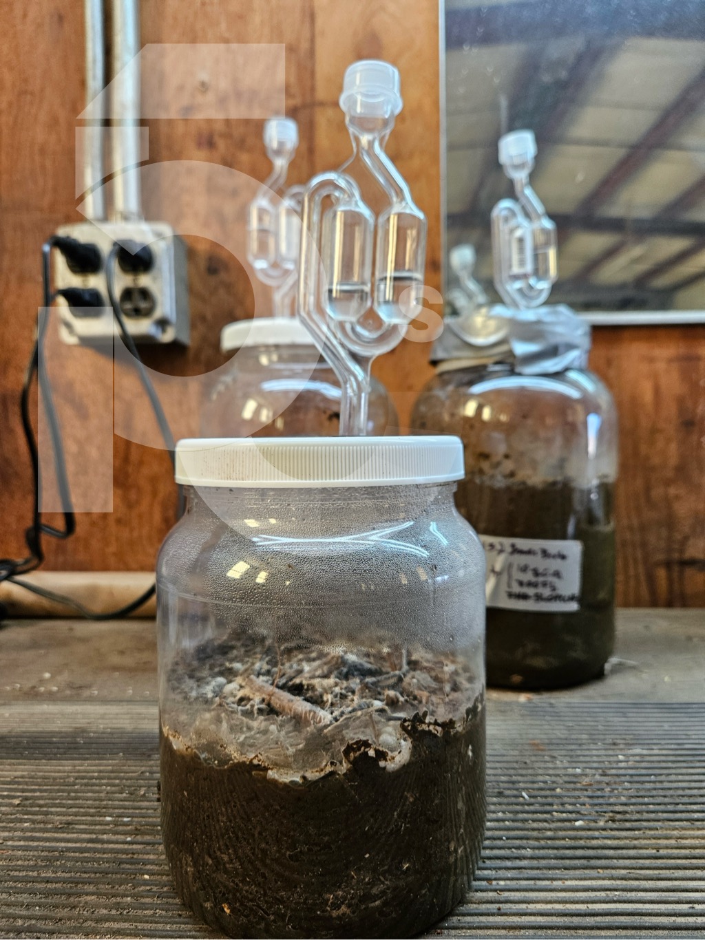 Fermentation lab samples