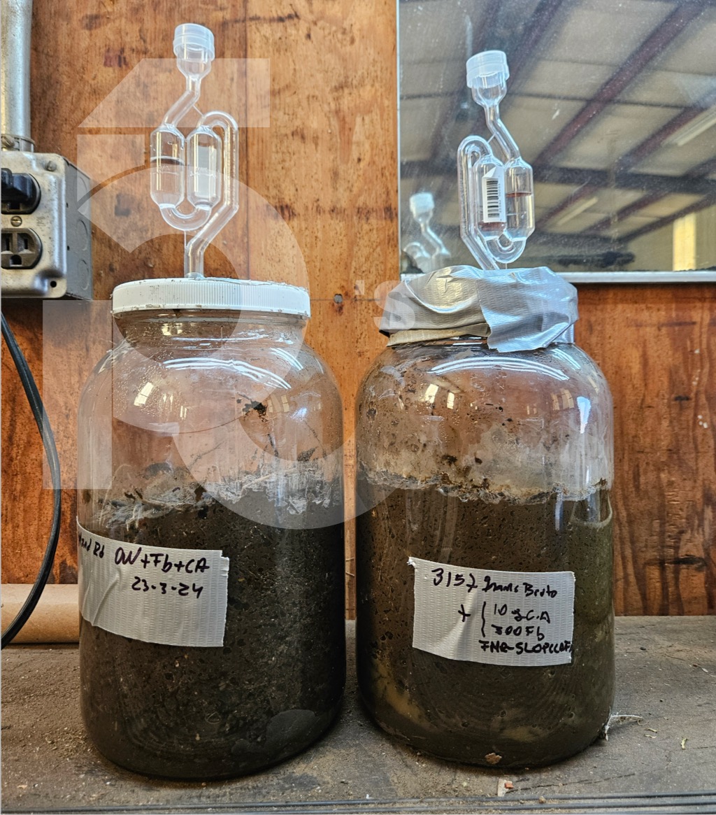 Fermentation lab samples