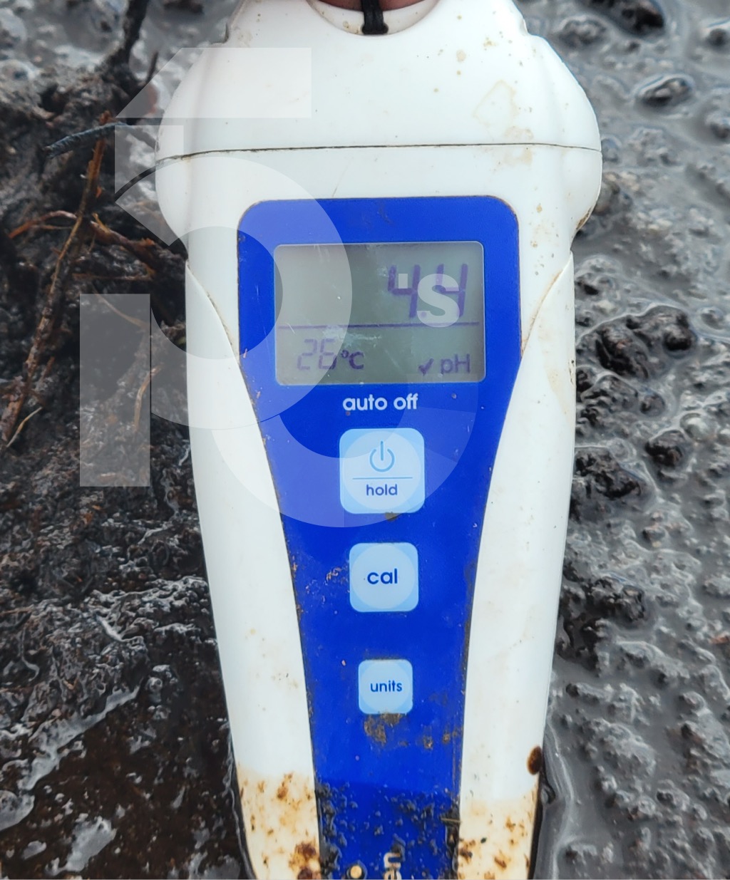 PH measuring equipment during fermentation